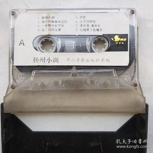 影像唱機、通訊音像制品與音像制品制作 收藏雜項的多元魅力